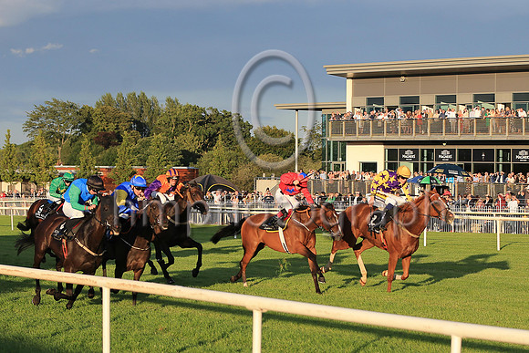 01st Set To Fire  Sean Davis - 2nd from left - (12, royal blue, royal blue and yellow sleeves) Trainer John James Feane, Owner Ms Orlagh Reynolds