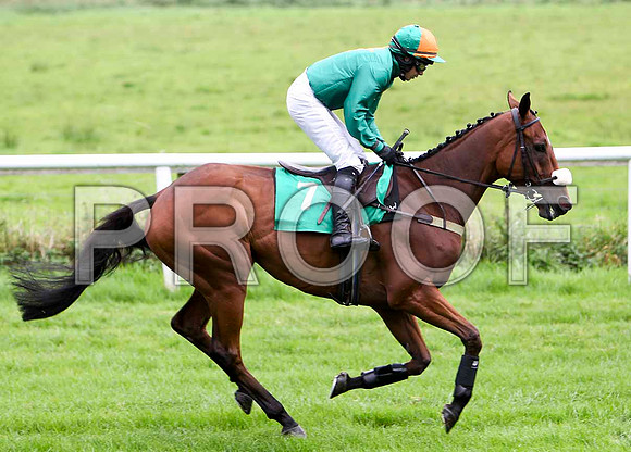 Huncheon Wells , Jockey A P Thornton - 6th - CU2D2345-e