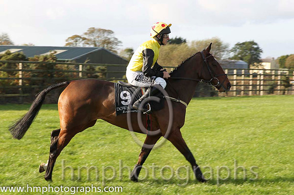10 Killen Elegance & P T Enright - 10th (9, yellow, black sleeves) - CU2D8812-8