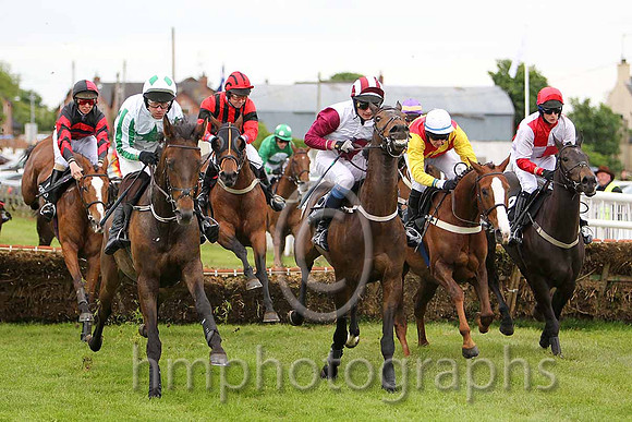R1 - Along Came Polly 5th, Qui Est Thou 6th, Venture Wild 11th, Jack Apple 3rd, Niamh's Flyer Fell, Bachelor Lad 4th, Kings Cashel PU  -CU2D9848-e