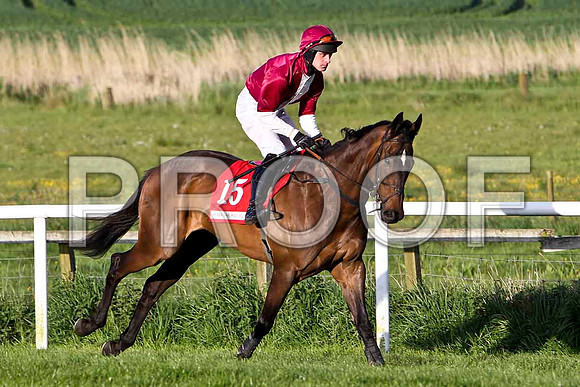 Metal Master, 5th, Jockey - L P Flynn -  FT8E3066-e