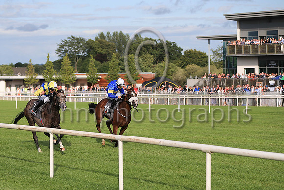 01st Lisard Lady  Wayne Lordan (13, royal blue, yellow hoop) Trainer Thomas Cooper, Owner Thomas Cooper