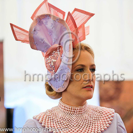 Ladies Day at Downpatrick