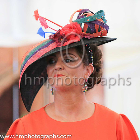 Ladies Day at Downpatrick