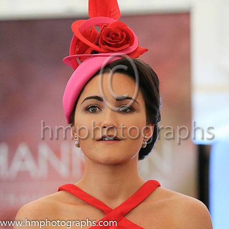 Ladies Day at Downpatrick