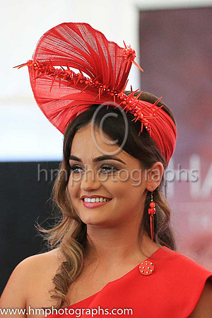 Ladies Day at Downpatrick