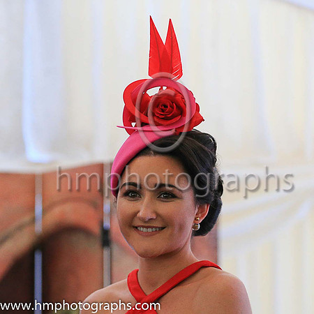 Ladies Day at Downpatrick