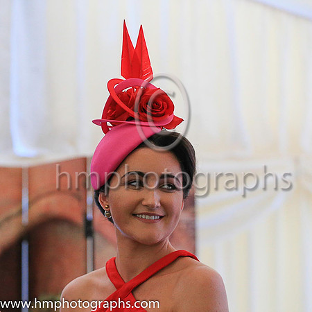 Ladies Day at Downpatrick