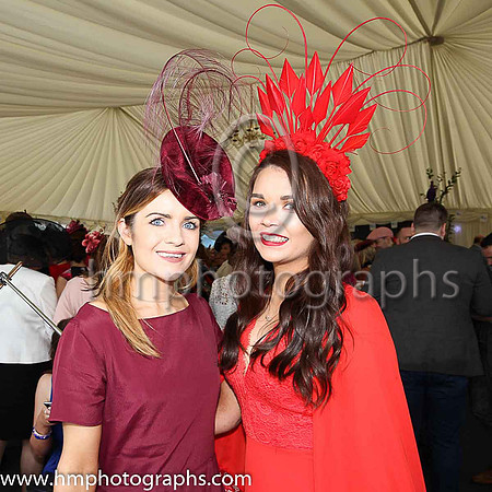 Ladies Day at Downpatrick