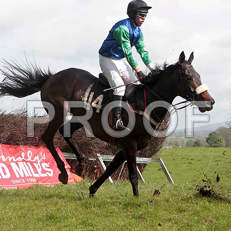Needleinahaystack , 6th, Jockey - M Watson - CU2D4611-e