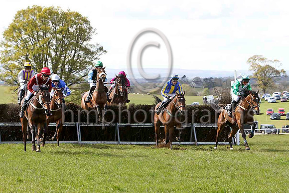 Knockans Breeze (7 red white cross belts) & J A Sloan - 2nd  & Little Luv (8 green white chevrons) & J J Codd - winnerFT8E2361-e