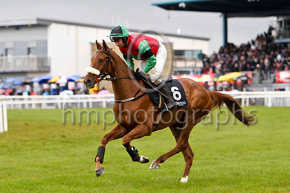 Beachdale Lad (6, red, emerald green star) & T P Treacy - 2nd - FT8E2819-e