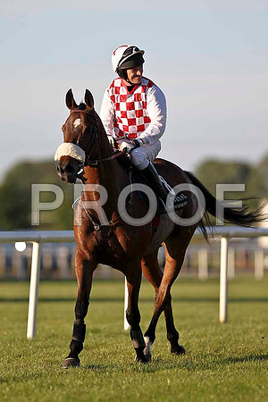 Financial Regulator PU, Jockey P Carberry- FT8E1147-e