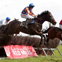 Queen Of The Air , Fell, Jockey - B O'Neill - CU2D4566-e