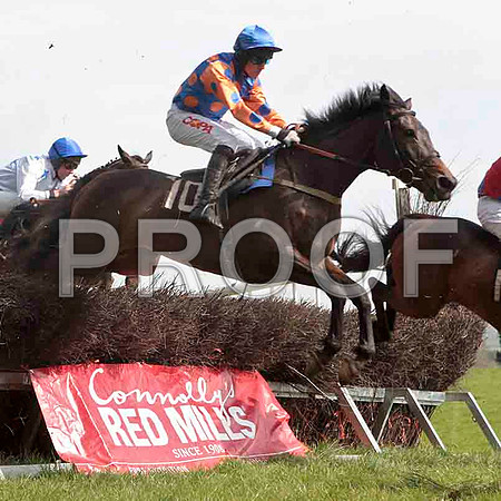 Queen Of The Air , Fell, Jockey - B O'Neill - CU2D4566-e