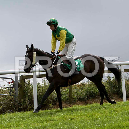 First Beauty - 3rd, Jockey, M  N Doran  - FT8E3864-e