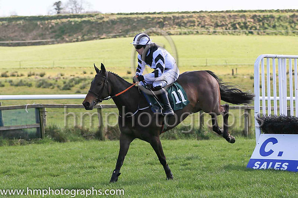 05th Oceans Of Money and R Deegan5 ( 11 , black  and white diabolo ) Trainer - Miss E Doyle , Owner - T Perry