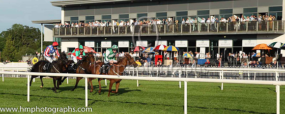 03rd Ah Fuhgeddaboudit and E.P. O'Brien(5) (1 ,blue, white stars ), Trainer:Denis Gerard Hogan , Owner:M. Fennessy Jnr.