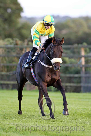 Golan Heights & R P Whelan - 8th (6, yellow, emerald green star) - CU2D3391-e