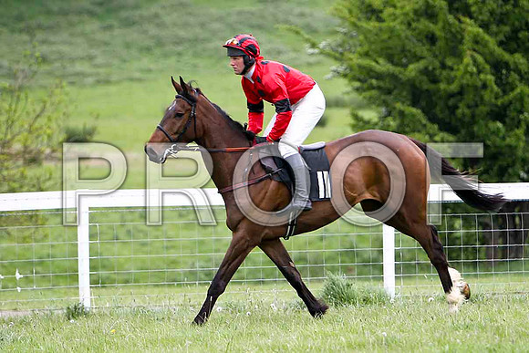 Buster PU, Jockey - J D Moore - FT8E2383-e