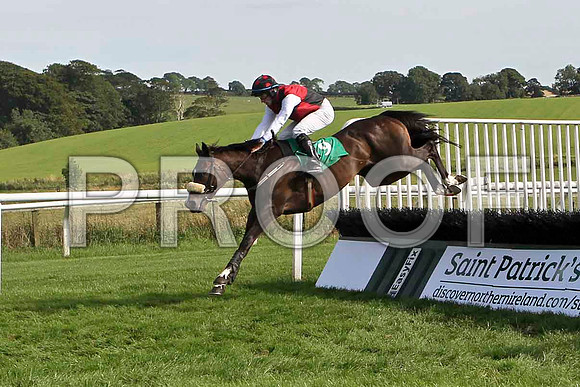 Garamor Boy 4th, Jockey M W Bowes- FT8E3096-e