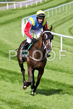 The Glenbeighdancer , 5th Jockey M Darcy - CU2D1766-e