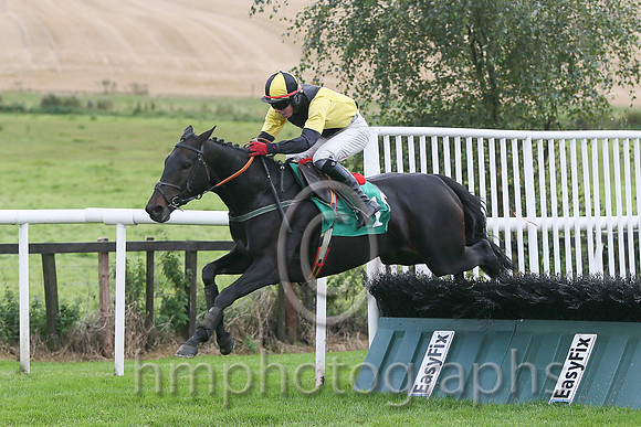 01st Tigroney ( 1 , black  yellow diabolo ) and Donagh Meyler (7) - Trainer : Miss Elizabeth Doyle - Owner : P.Bradford