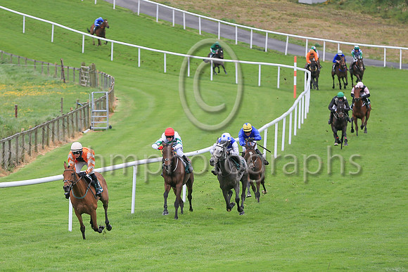 01st Statuaire and D E Mullins ( 13 , orange ) Trainer - W P Mullins , Owner - M L Bloodstock Limited