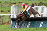 2021-05-21st-Downpatrick (hr) (8/23)