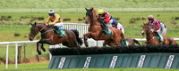 2021-05-21st-Downpatrick (hr) (8/23)