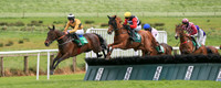 2021-05-21st-Downpatrick (hr) (8/23)