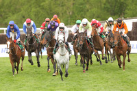 2021-05-21st-Downpatrick (hr) (8/23)
