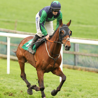2021-05-21st-Downpatrick (hr) (8/23)