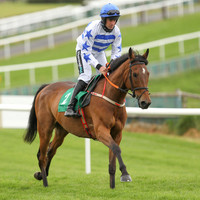 2021-05-21st-Downpatrick (hr) (8/23)