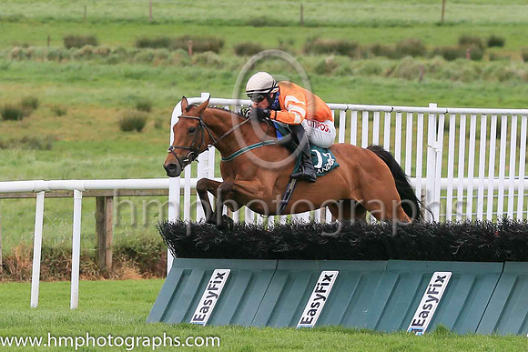 01st Statuaire and D E Mullins ( 13 , orange ) Trainer - W P Mullins , Owner - M L Bloodstock Limited