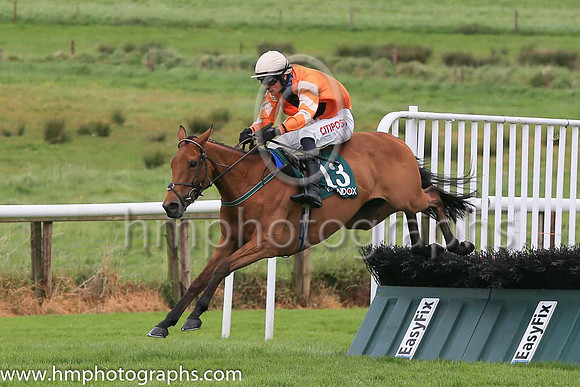 01st Statuaire and D E Mullins ( 13 , orange ) Trainer - W P Mullins , Owner - M L Bloodstock Limited