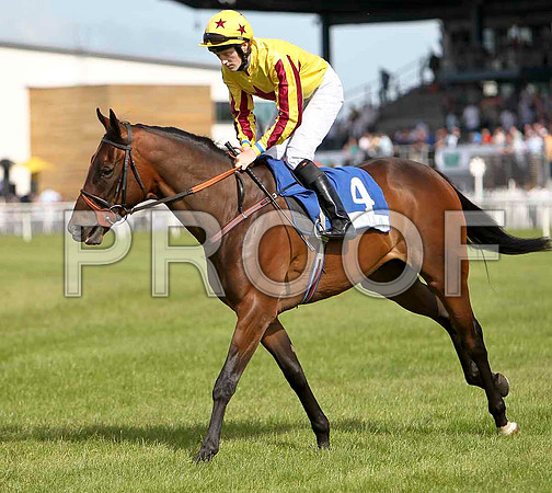 Sarsfields Legend 2nd , Jockey W J Lee - CU2D0450-e