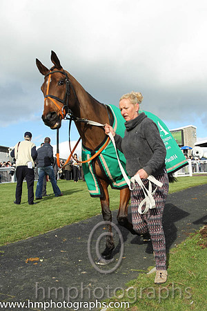 Tammys Hill  - winner of the CGA Foxhunter Chase at Cheltenham - CU2D1201-9