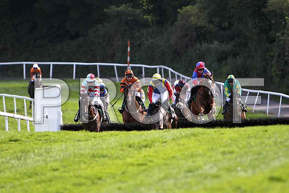 The Glenbeighdancer , 5th Jockey M Darcy in the lead (centre , yellow and green hooped cap) - CU2D1802-e