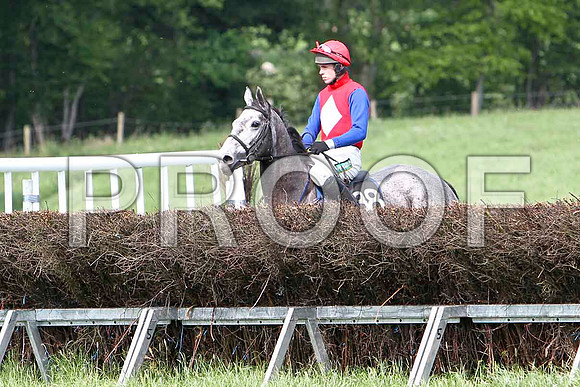 Fifth Race Div 1 - The Lady in Grey (38) Fell, Rider Derek O'Connor - CU2D9647-e