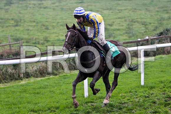 Bee Cee Brown , 10th, Jockey Mr N McParlan -FT8E5588-e