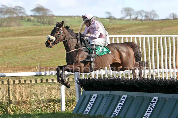 Pink Goddess (11) & K Whelan - 2nd - FT8E9825-e