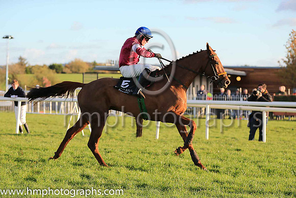 06th Net D'ecosse and Paul Townend ( 5 , maroon, white star, blue cap) Trainer - N Meade , Owner - Gigginstown House Stud