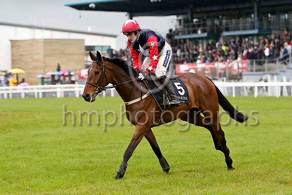 Terminal (5, dark blue, white star red sleeves white stars) & R Walsh - winner - FT8E2804-e2