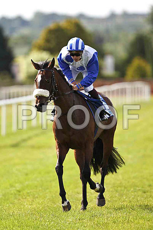 Vampire Blues winner, Jockey K Latham- FT8E1619-e