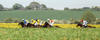 2021-05-29th - Kirkistown P2P (hr) (8/23)