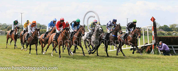 Pat Healy in action at the Kirkistown Point to Point