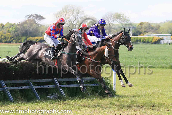 01st RANGER KID and J W Kenny ( 16 , PURPLE,gold spots ) Trainer: Liam Kenny , Owner : Patrick Joseph Redmond