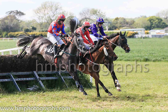 01st RANGER KID and J W Kenny ( 16 , PURPLE,gold spots ) Trainer: Liam Kenny , Owner : Patrick Joseph Redmond