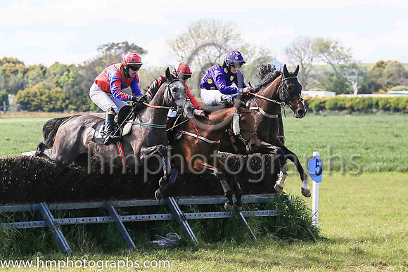 01st RANGER KID and J W Kenny ( 16 , PURPLE,gold spots ) Trainer: Liam Kenny , Owner : Patrick Joseph Redmond